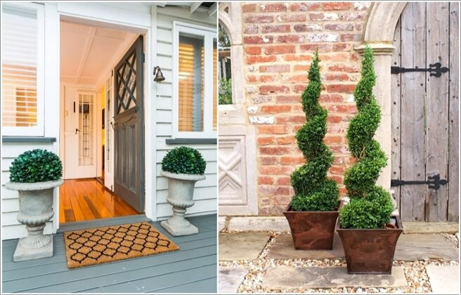 Lợi Ích Trồng Chậu Cây Cảnh Trước Cửa Nhà Trong Phong Thủy