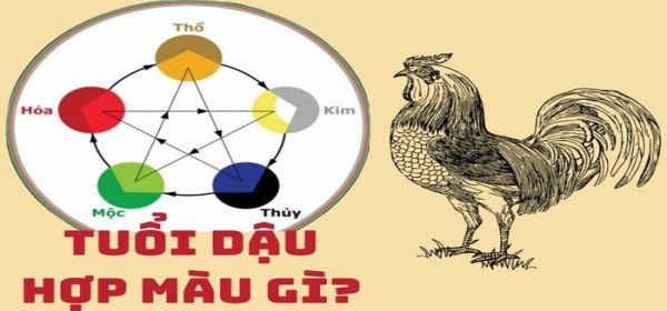 Màu Phong Thủy Của Tuổi Dậu Và Cách Chọn Đúng, Đón May Mắn