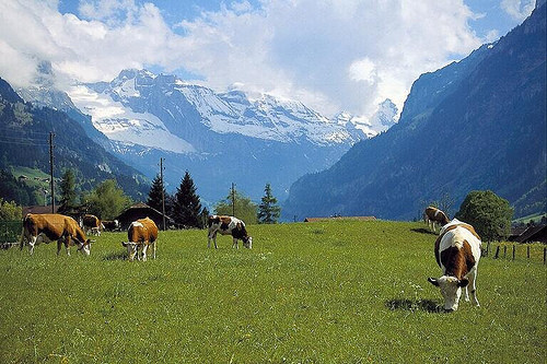 Địa Điểm Du Lịch Ở Miền Bắc Việt Nam - Những Điểm Đến Đẹp