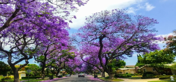 Địa Điểm Du Lịch Việt Nam Nổi Tiếng Khiến Du Khách Say Mê