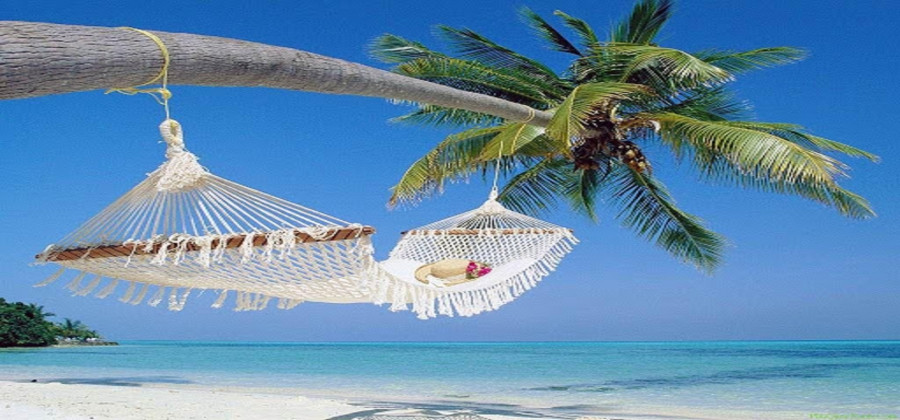 Khám Phá Các Địa Điểm Du Lịch Mùa Hè Tại Việt Nam Hấp Dẫn