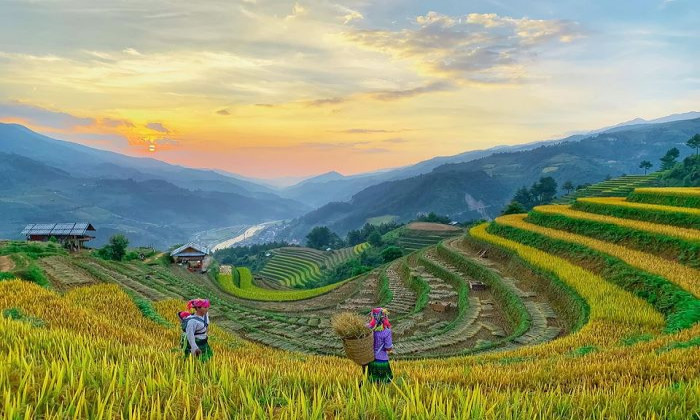 Khám Phá Những Điểm Du Lịch Của Việt Nam Hấp Dẫn Nhất