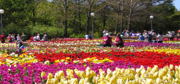 Khám Phá Những Điểm Du Lịch Của Việt Nam Đẹp Như Tranh Vẽ