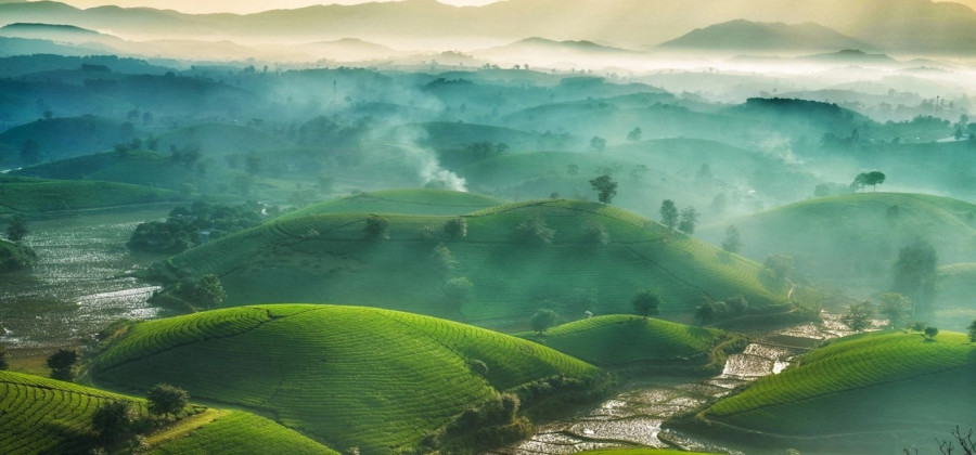 Các Điểm Du Lịch Tại Phú Thọ Bạn Không Nên Bỏ Qua Nhất