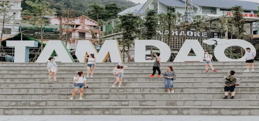 Điểm Du Lịch Tam Đảo: Top 10 Điểm Đến Không Nên Bỏ Lỡ 2026