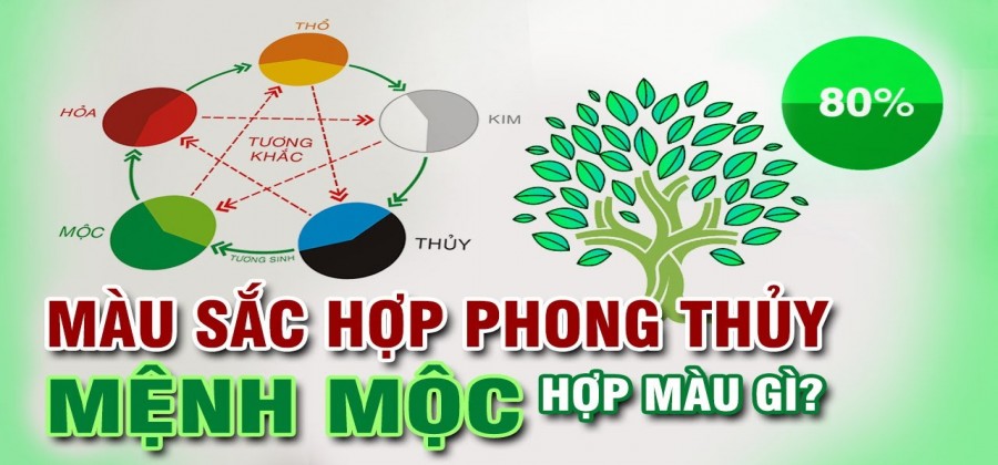 Màu Phong Thuỷ Mệnh Mộc Nên Dùng Trong Công Việc, Cuộc Sống