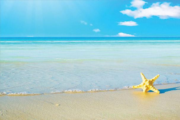 Những Địa Điểm Biển Đẹp Ở Việt Nam Cho Kỳ Nghỉ Hoàn Hảo